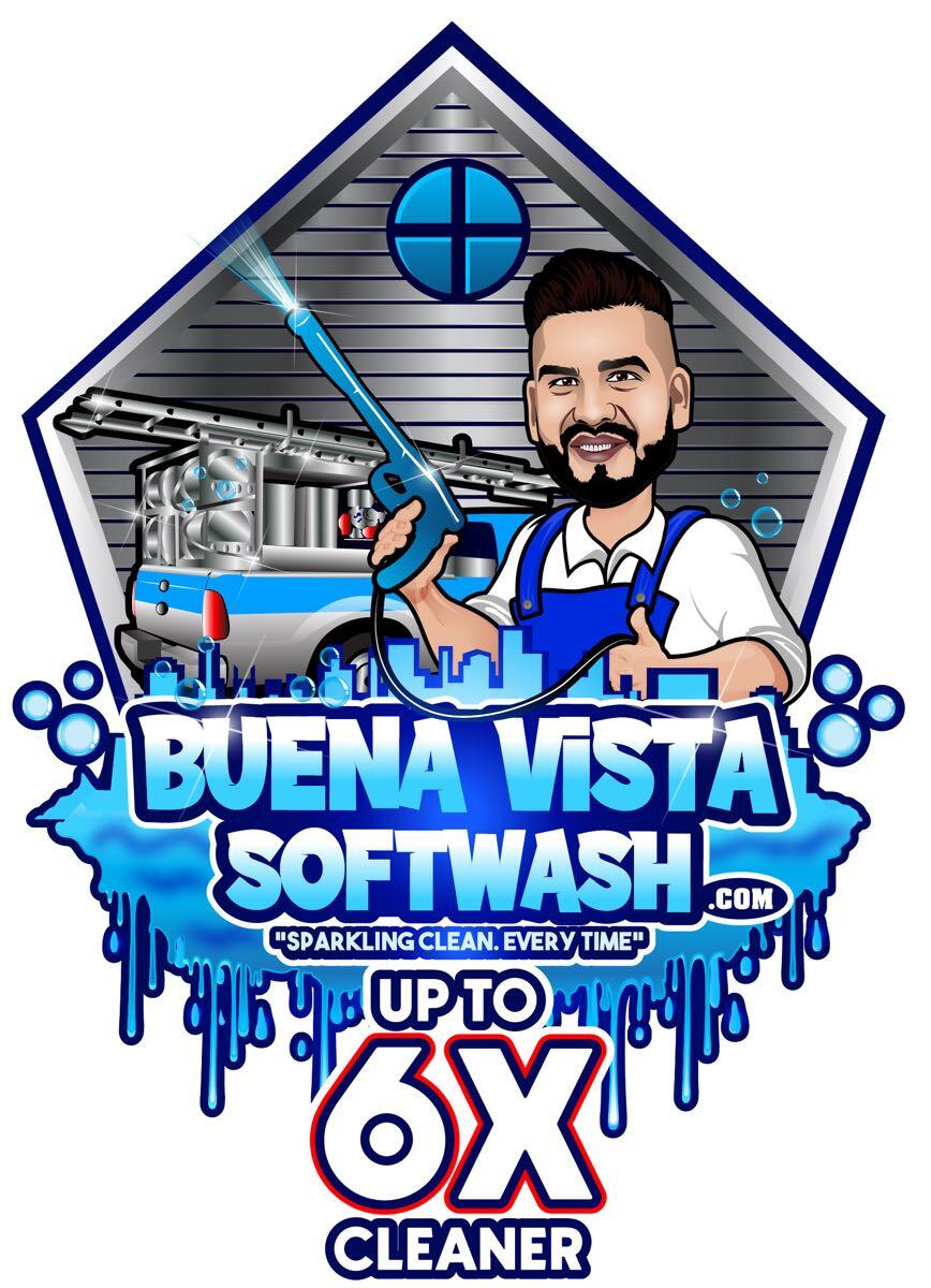 Buena Vista Softwash logo